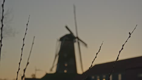 Nahaufnahme-Von-Schilf-Mit-Einer-Unscharfen-Windmühle-Im-Hintergrund-In-Den-Niederlanden-Bei-Sonnenuntergang