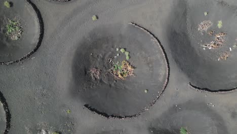 Cráteres-Volcán-Cultivado-Agrícolamente