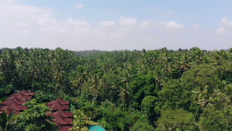 Filmische-Luftaufnahme-über-Dem-Tropischen-Paradiesdschungel-Mit-Wellness-Resort-Gebäuden-Darunter