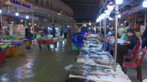 Largest-fishing-port-Tho-Quang-in-early-morning-with-display-of-fresh-tropical-fish-for-sale,-Vietnam
