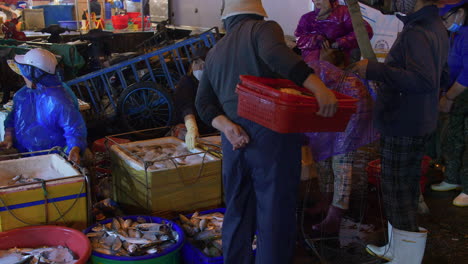 Tho-Quang-Fischereihafen-Am-Frühen-Morgen-Mit-Leuten,-Die-Frischen-Tropischen-Fisch-Vietnam-Verkaufen