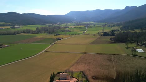 Aerial-footage-of-a-spectacular-green-cultivated-ecological-field-on-a-sunny-day,-animal-farm