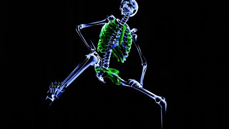 Skeletttanz---Grün---Schwerkraft
