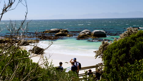 Touristen-Auf-Der-Boulders-Beach-Plattform,-Um-Die-Afrikanische-Pinguinkolonie-Zu-Besichtigen