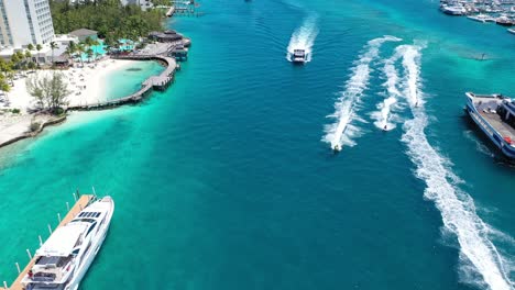 People-are-racing-on-motorboats-near-the-coast,-top-aerial-view-over-blue-and-crystal-clear-water-in-bay-area,-fun-at-water-activity-concept