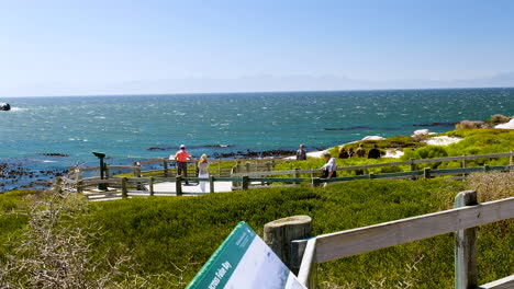 Touristen-Auf-Promenaden-Von-Boulders-Beach-Bei-Sehr-Windigen-Bedingungen