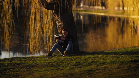 Young-man-reading-a-book-alone-under-a-willow-tree-on-the-shore-of-a-park-lake-at-sunset