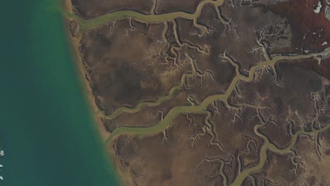 Water-veins-through-deposited-sediment-on-a-river's-meander