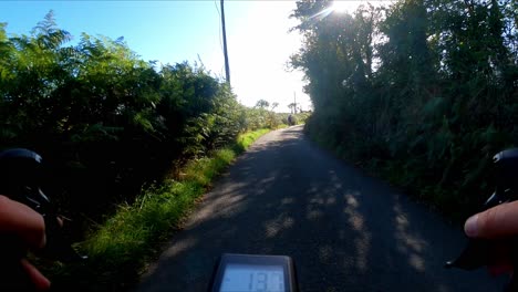 Cycling-through-tht-lanes-of-Kilkenny,-quiet-green-leafy-lanes-with-no-traffic,-the-countryside-is-at-its-summer-best,-fantastic-way-to-spend-a-Sunday
