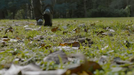 Young-male-wearing-adidas-trainers-walking-across-park-grass-with-autumn-leaves-towards-woodland