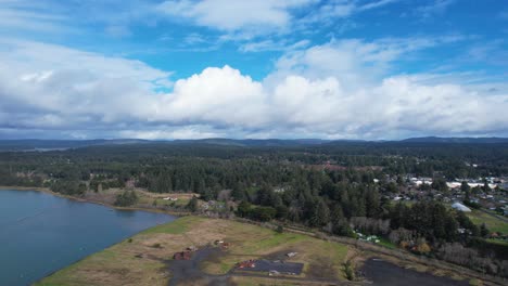 Stunning-4K-aerial-drone-shot-showcasing-tree-landscape-in-Bandon,-Oregon
