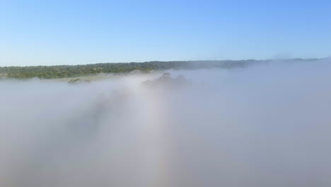 Fog-Clouds-On-Eucalyptus-Trees-On-A-Sunny-Morning-In-Santa-Cruz,-California,-USA