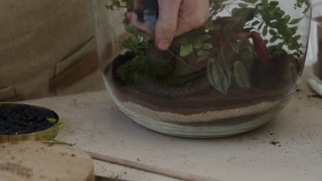 A-young-female-botanist-carefully-puts-the-soil-into-the-glass-terrarium-with-a-tiny-live-forest-ecosystem---a-tight-close-up