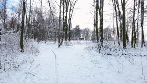 Caminando-Por-El-Sendero-En-El-Bosque-Cubierto-De-Nieve