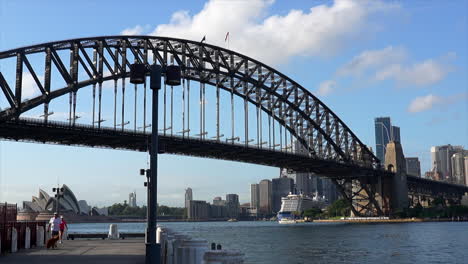 A-man-walks-his-dog-next-to-Sydney-Harbour-Australia