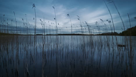Time-lapse-of-lake-with-reed-grass-in-foreground-and-moving-clouds-in-the-sky-in-distance-on-dark-day-at-Lough-Meelagh-in-county-Roscommon-in-Ireland