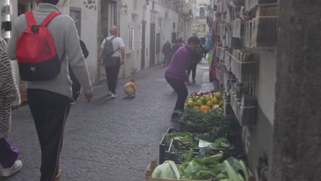 Amalfi-Italien-Produkte-Mit-Vorbeigehenden-Menschen