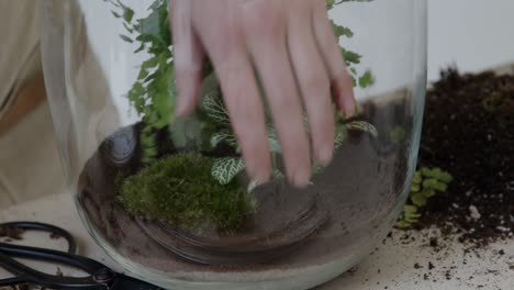 A-young-female-botanist-creates-a-tiny-live-forest-ecosystem-in-a-huge-glass-jar---planting-the-moss---a-tight-close-up