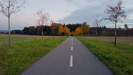 Blick-Auf-Eine-Schöne-Straße-Mit-Bäumen-Und-Einem-Hügel-Im-Hintergrund