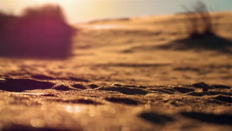 OBX-dune-sand-close-up-sunset-golden-hour-slow-motion-24fps