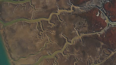 Flusskanäle-Fließen-Wie-Adern-Durch-Sumpfsedimente