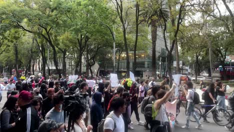 shot-of-a-social-protest-in-Mexico-city