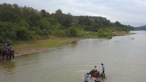 Elephants-play-in-Mekong-River-for-tourists-and-mahouts-in-rural-Laos