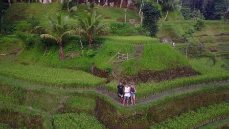 Aerial-rotates-around-three-tourists-in-steep-terraced-Bali-rice-paddy