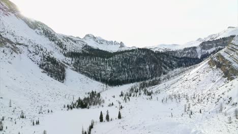 Cordillera-Cubierta-De-Nieve-Y-Bosque-En-Trentino-alto-Adigio-Durante-El-Invierno