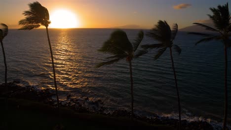 Hawaii-Palmen-Schaukeln-Ozean-Sonnenuntergang-In-Zeitlupe
