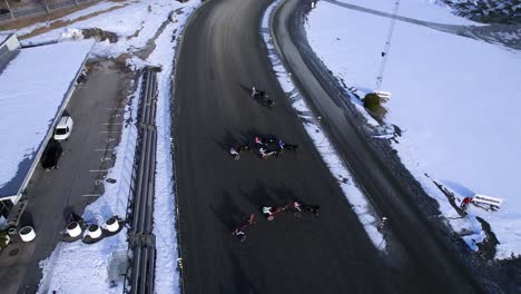 Carros-De-Caballos-Antes-De-Una-Competencia