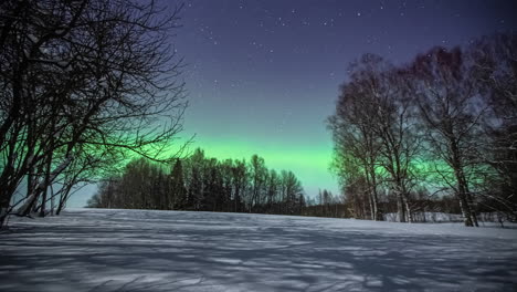 Shadows-creeping-over-a-snowy-meadow-while-stars-and-the-aurora-borealis-glow---time-lapse