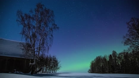 Time-lapse-shot-of-green-and-pink-aurora-borealis-at-blue-night-sky-with-stars-in-winter