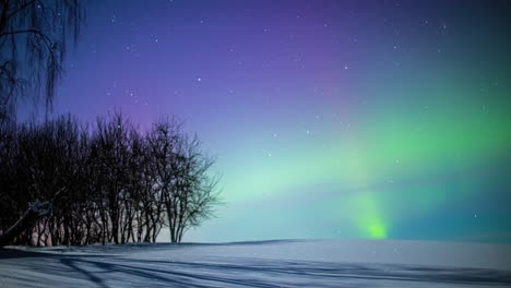 Sterne-Und-Die-Aurora-Borealis-Erhellen-Den-Winterhimmel---Zeitraffer
