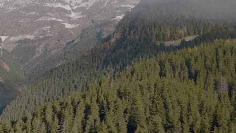 Rotierende-Zoomantenne-über-Wunderschönen-Grünen,-üppigen-Kiefernwäldern-In-Den-Schweizer-Bergen,-Schweiz,-Mit-Epischem-Alpengebirgspanorama-Und-Bäumen,-Die-Berghänge-In-Großer-Höhe-Mit-Schnee-Bedecken