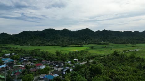 Aerial-of-small-tropical-barangay-village-amongst-lush-rainforest,-Catanduanes,-Philippines