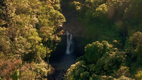 Hawaii-canopy-sun-rays-waterfall-slow-motion-2