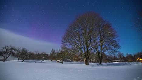 Stars,-clouds-and-aurora-borealis-above-the-winter-landscape---time-lapse
