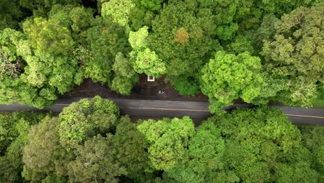 Drone-descending-through-green-jungles-over-the-mountain-road-to-reveal-travellers-in-Sumbawa-forest,-Indonesia