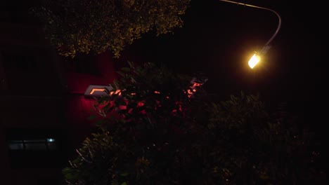 Blätter-Rascheln-Nachts-In-Einem-Park-Mit-Einer-Leuchtreklame-Im-Hintergrund-In-Ho-Chi-Minh-Stadt,-Vietnam,-Vertikales-Video