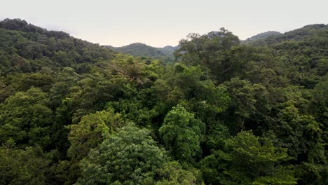 Revealing-Shot-of-Tropical-Mountains-Jungles-Forest-In-Central-Sumbawa-Island,-Indonesia