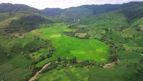 Aerial-shot-of-Rice-Terrace-Valley-Surrounded-by-Jungle-Hills-in-Sumbawa,-Indonesia