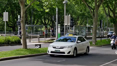 Vista-Editorial-Ilustrativa-De-Llamativos-Carteles-Gráficos-Iluminados-En-Una-Calle-De-Melbourne-Que-Indican-Que-La-Zona-Es-Frecuentada-Por-Especies-De-Aves-Protegidas