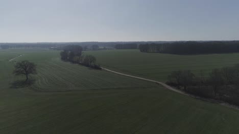 Beautiful-aerial-drone-shot-of-agriculture-fields-with-backroad-and-trees