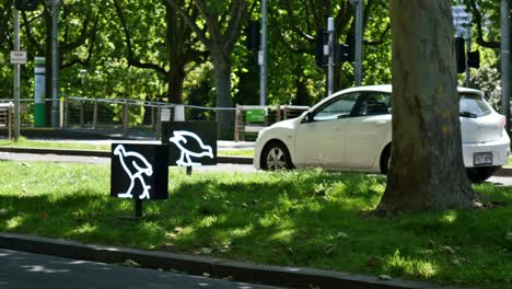 Editorial-illustrative-view-of-eye-grabbing-lighted-graphic-signs-on-a-Melbourne-street-indicating-that-the-area-is-frequented-by-protected-fowl-species