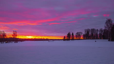 Colorful-sunrise-transforming-the-moving-clouds-into-different-colors-over-a-meadow-covered-wiht-snow