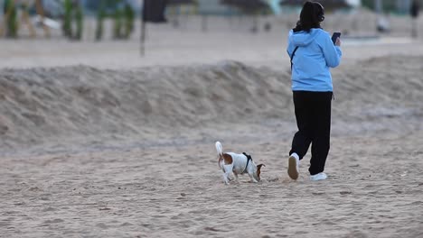 A-peaceful-morning-stroll-as-a-woman-and-her-dog-enjoy-a-serene-walk-on-the-beach,-basking-in-the-beauty-of-the-rising-sun