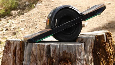 One-Wheel-On-Tree-Stump-In-Nature-Close-Up