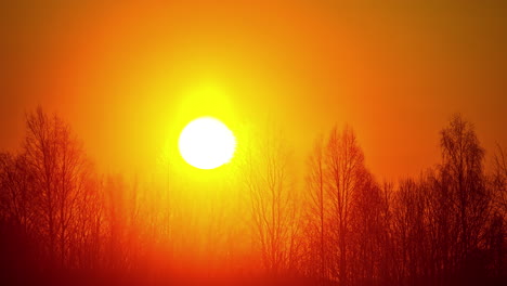 a-large-and-bright-orange-and-yellow-colored-sun-rises-behind-some-tall-trees