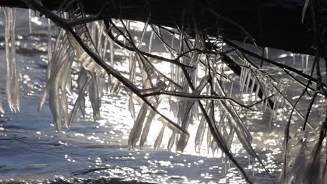 Sun-shining-on-icicles-in-front-of-flowing-river